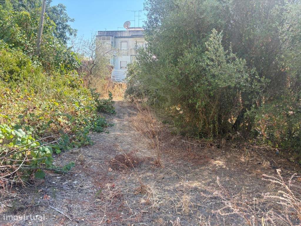 Terreno misto com potencial, Loulé, Algarve - Grande imagem: 5/16
