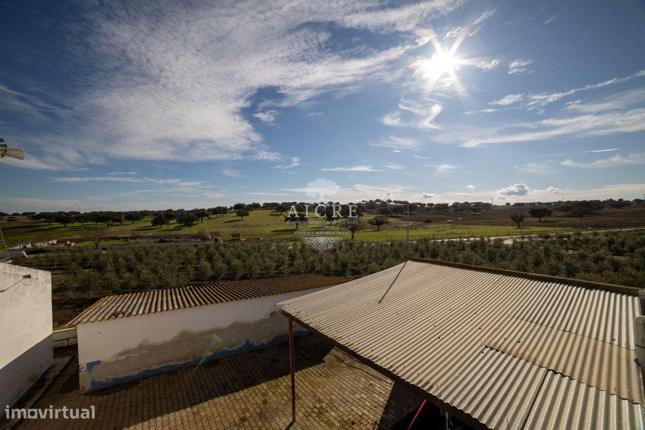 Herdade Alentejo-17
