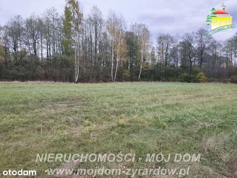 Działka budowalna w Radziwiłłowie - Pełny obrazek: 4/5
