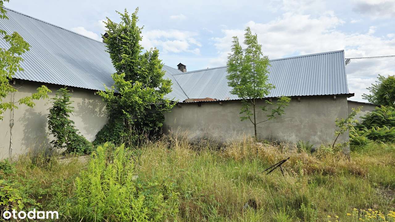 Budynek z dużą działką - Pełny obrazek: 5/10