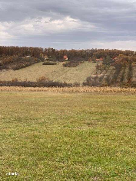 Teren intravilan în Viile Satu Mare cu 73 arii - Imagine principală: 4/7