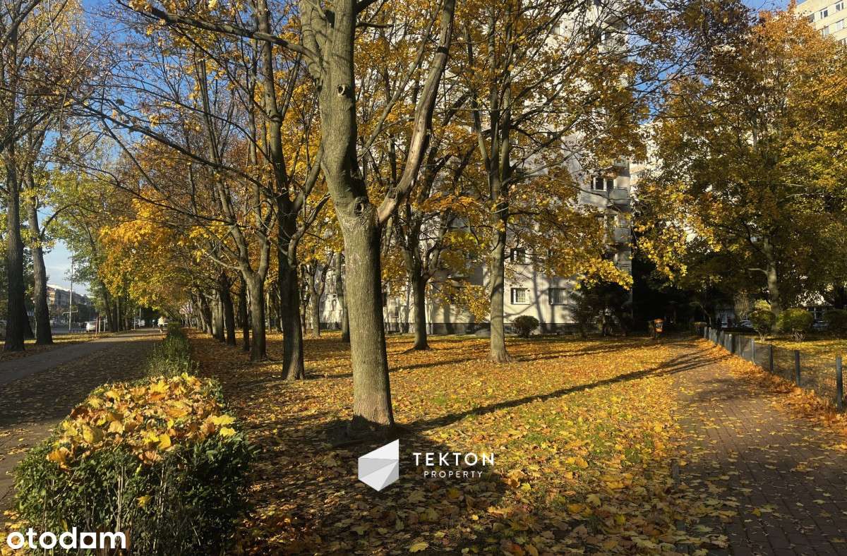 Jasne | 3 pokoje + kuchnia | Balkon  |-7