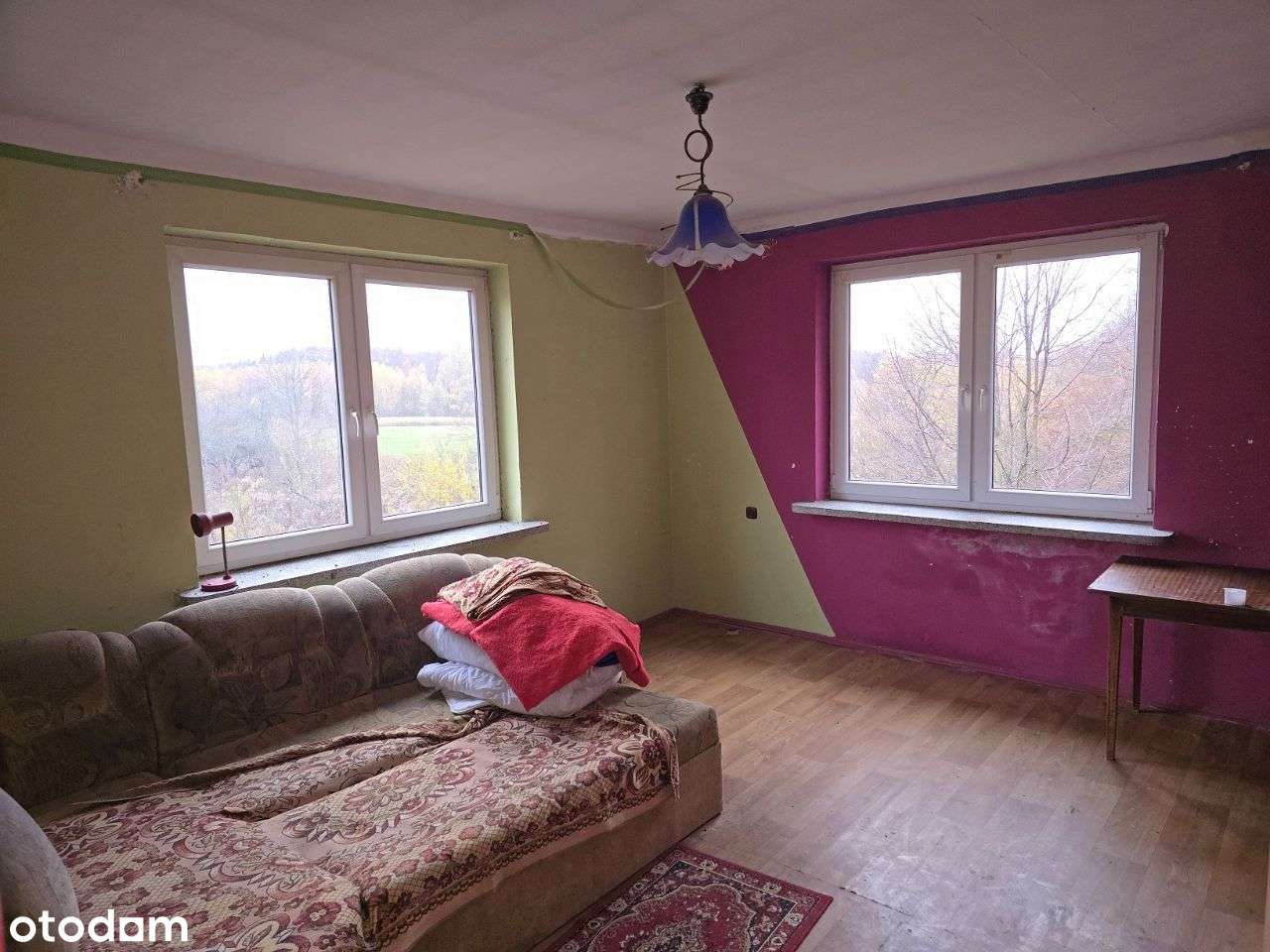 Wierzchowiska Pierwsze - siedlisko pod lasem-7