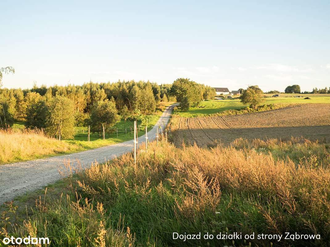 Malownicza działka budowlana pod Kołobrzegiem,  Ząbrowo - 1375 m2 WZ - Pełny obrazek: 5/7