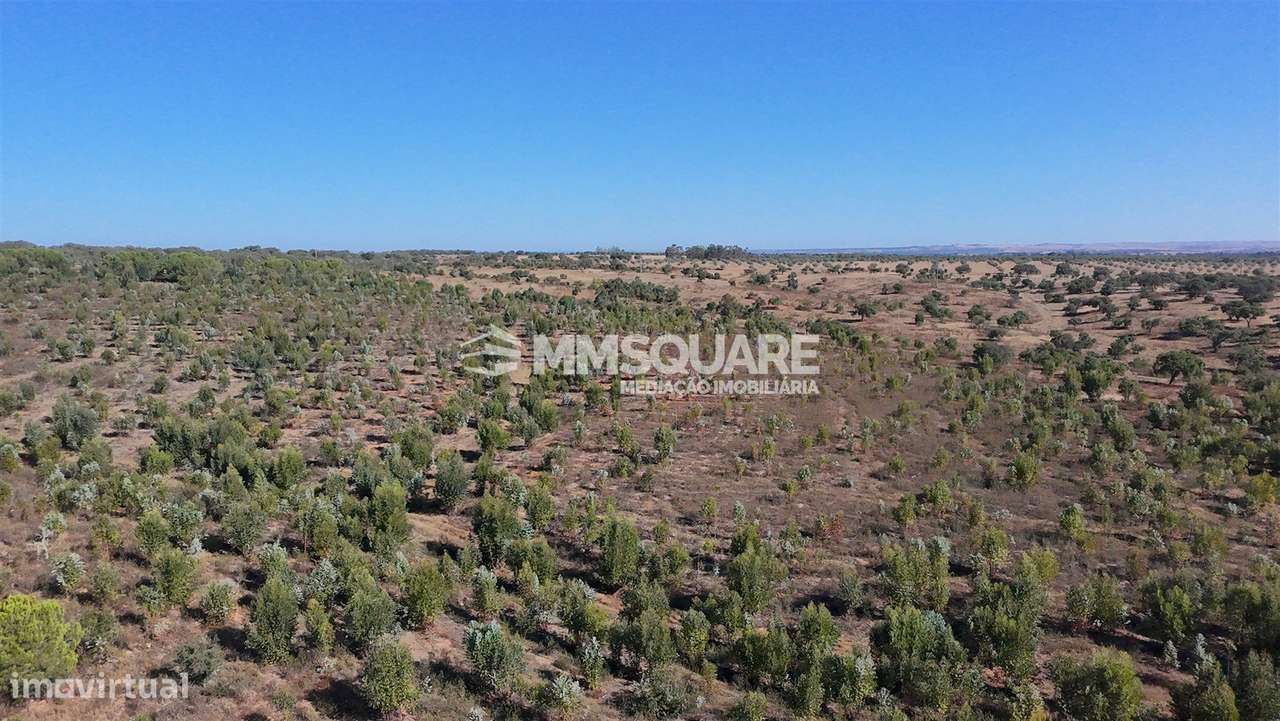 Herdade  Venda em Garvão e Santa Luzia,Ourique-38