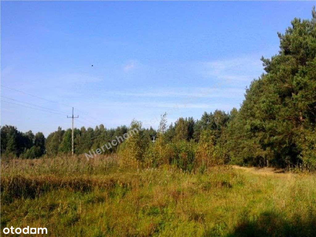 Działka Granicząca Z Lasem-1