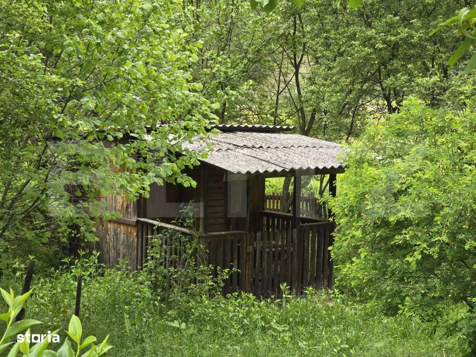 Teren intravilan Ciucea - Imagine principală: 4/5