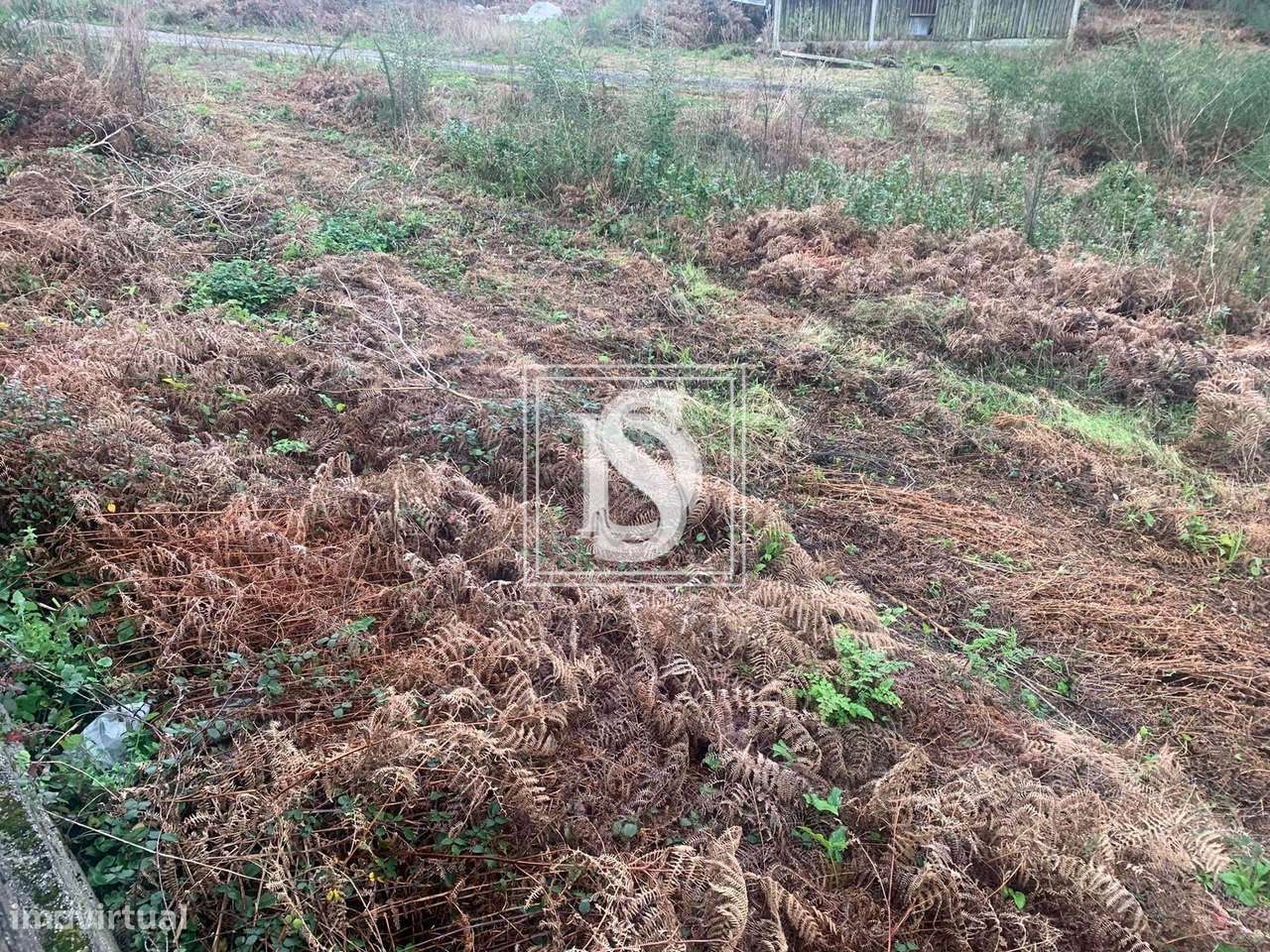 Terreno para Construção em Mujães 5000m - Grande imagem: 4/15