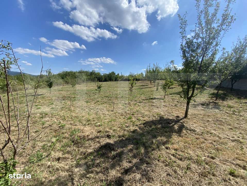 Teren intravilan in Aghires in suprafata de  1500 mp - Imagine principală: 3/8