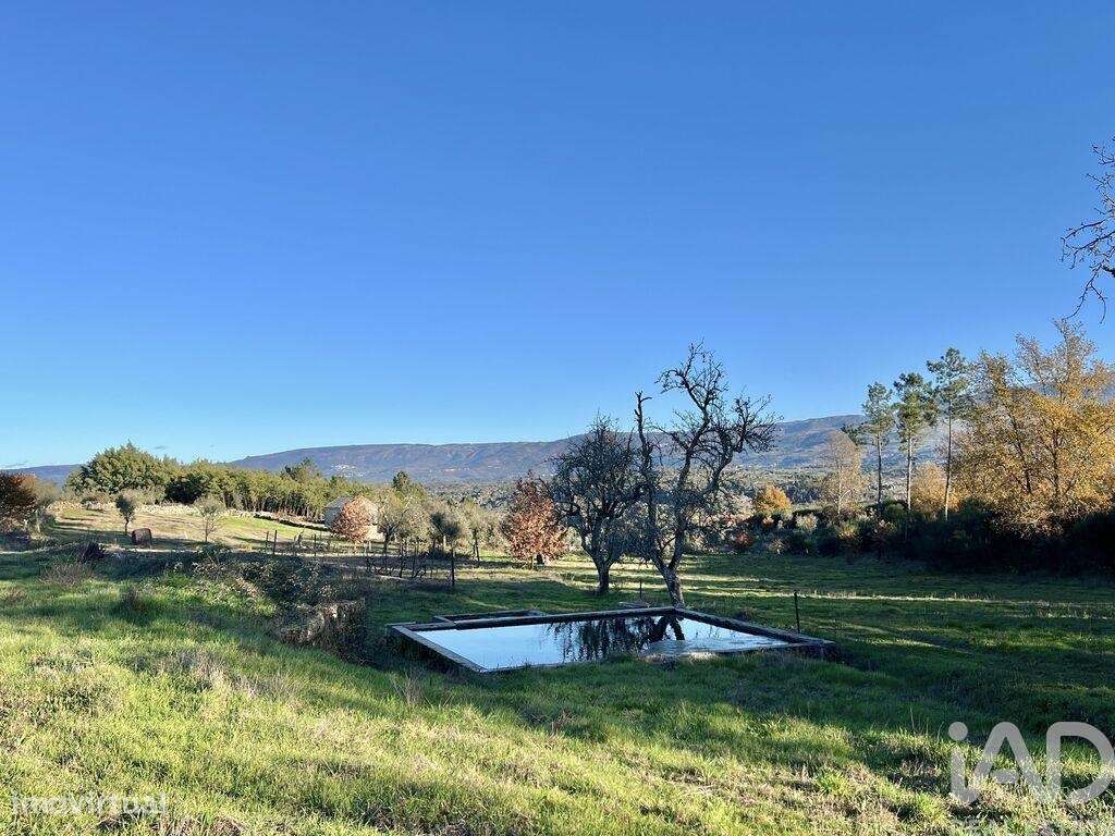 Quinta T3 em Arcozelo de 115 m2 - Grande imagem: 4/33