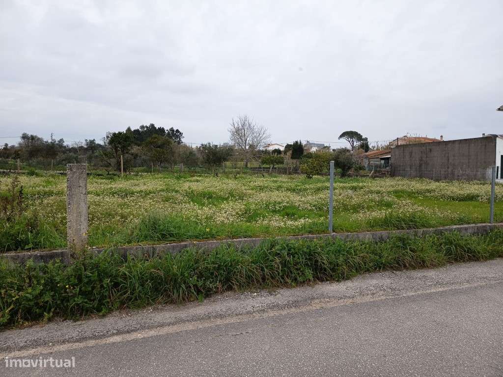 Terreno em Carapinheira - Grande imagem: 4/5