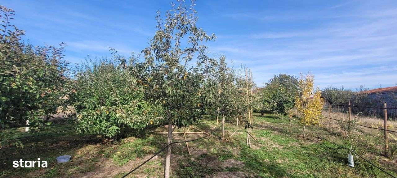 Vand casa cu teren de 1753 mp in Prejmer - Imagine principală: 4/9