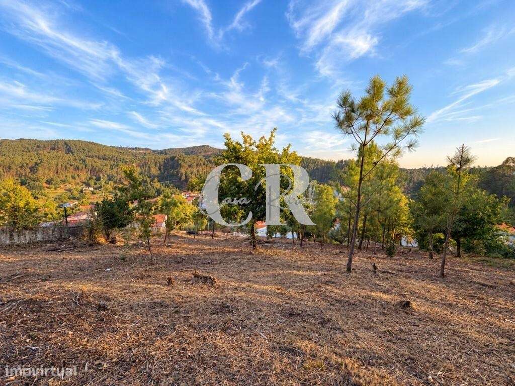 Moradia em pedra com 4 quartos, logradouro e terreno agrícola-25