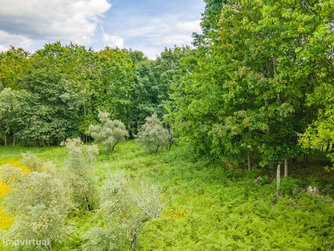 Terreno Urbano em Marco de Canaveses com Vista Campestre - Grande imagem: 2/11