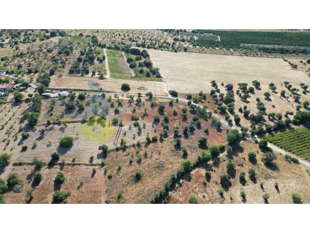 Terreno rústico para venda em Tunes - Grande imagem: 4/9