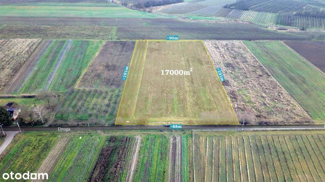 Działka rolna 1,7 ha, Czersk, gm. Góra Kalwaria-1