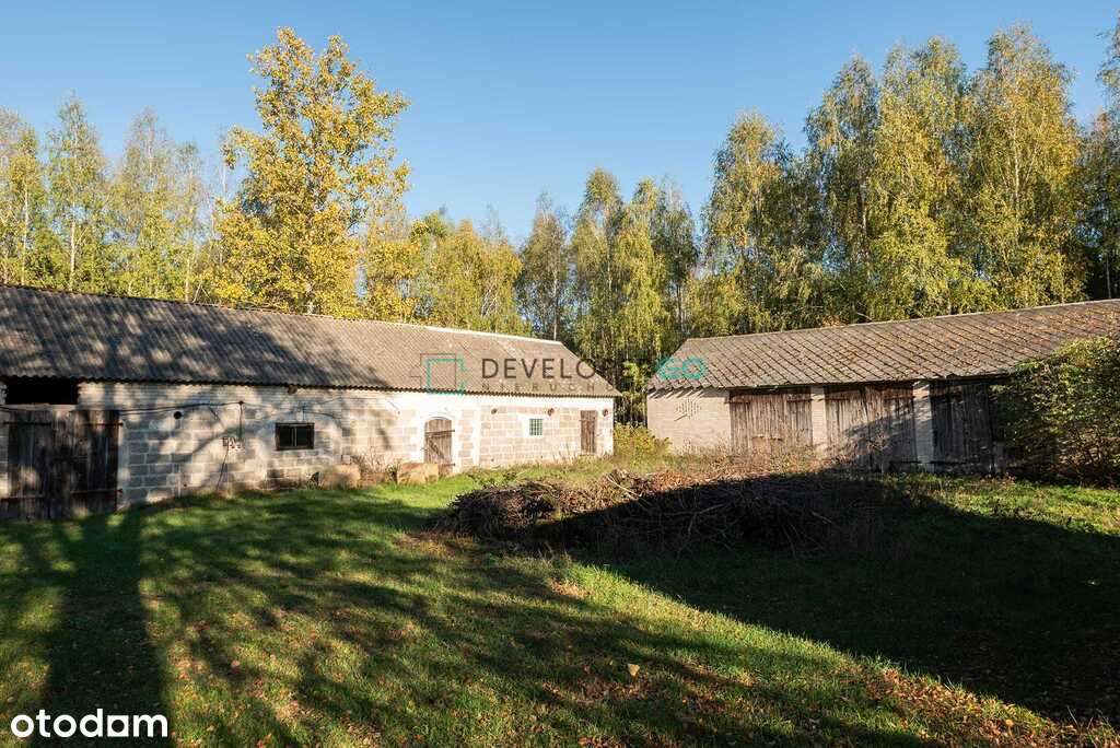 Siedlisko z lasem - Twoja oaza spokoju. - Pełny obrazek: 4/12