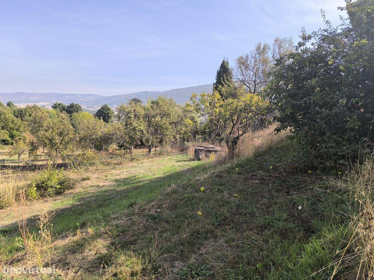 Terreno para construção de moradia - Grande imagem: 4/14