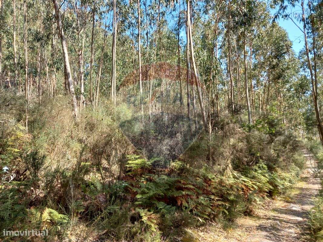 Terreno  para venda - Grande imagem: 2/4