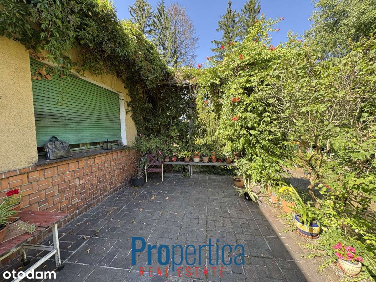 Przedwojenny architekt, posiadłość w Konstancinie - Pełny obrazek: 5/14