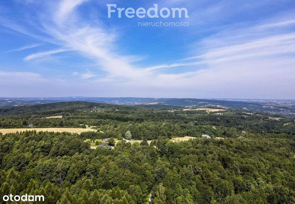 Działka budowlana 58 ar w urokliwym zakątku Lubeni - Pełny obrazek: 4/14