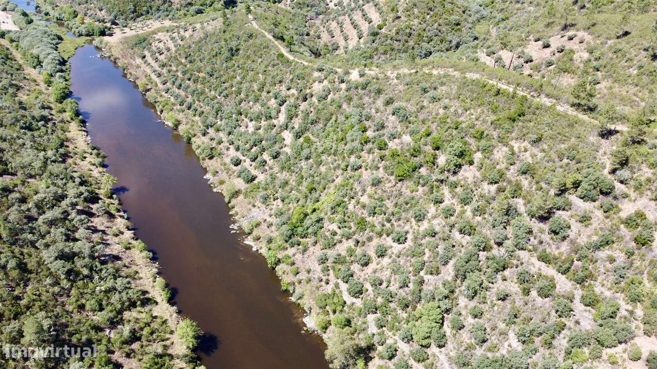 Terreno Rústico  Venda em Sarzedas,Castelo Branco - Grande imagem: 4/8