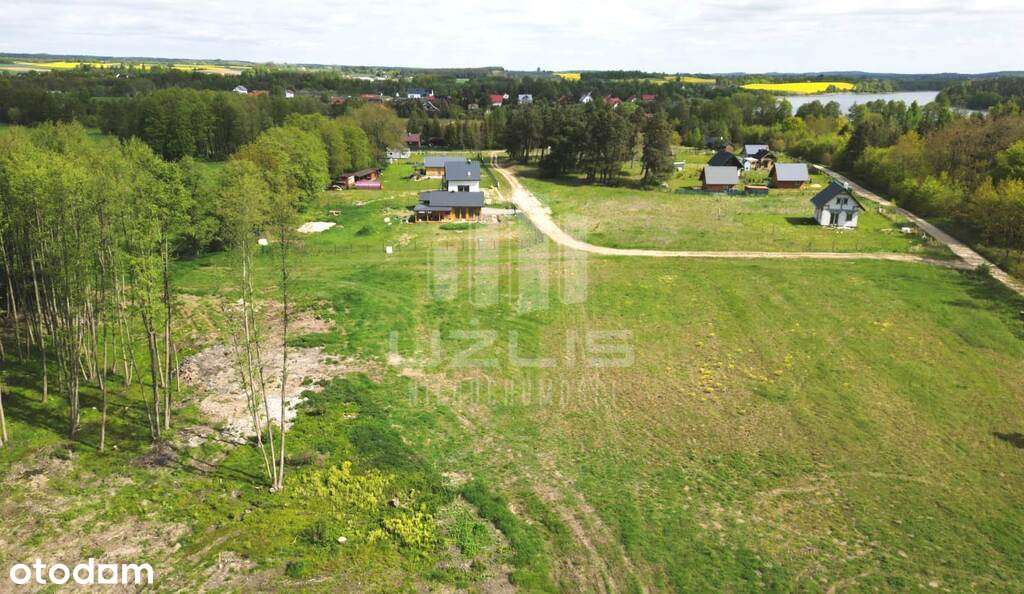 Spokojna okolica blisko Trójmiasta las, jezioro - Pełny obrazek: 5/7