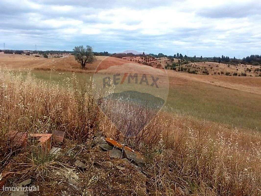 Quinta T3 para venda-3