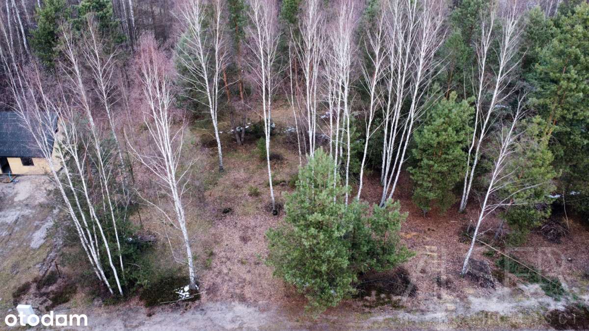 Działki budowlane, w otulinie Parku Krajobrazowego - Pełny obrazek: 4/20