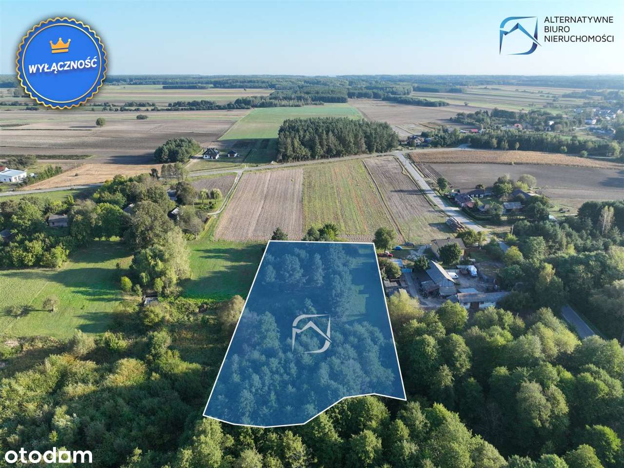 Unikatowa działka z wydaną WZ- Borów Kolonia - Pełny obrazek: 5/14