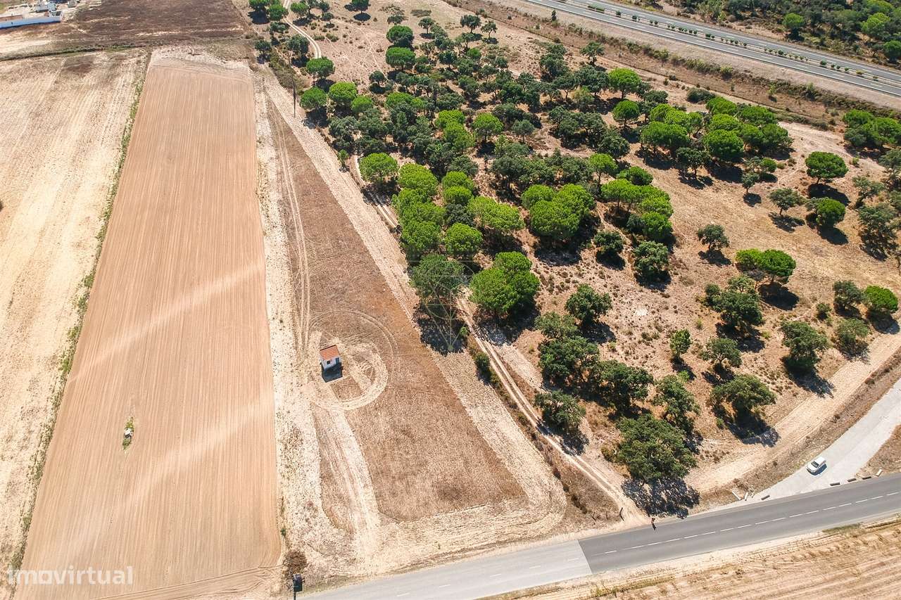 Terreno Para Construção  Venda em Benavente,Benavente - Grande imagem: 3/5