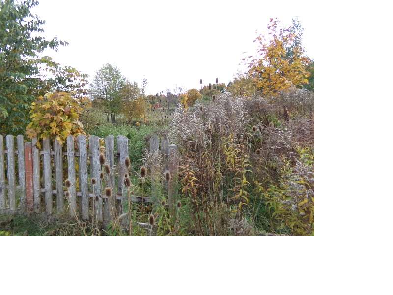 Działka o pow. 2923 m2 w Ługwałdzie ul. Bukszpanowa - Pełny obrazek: 3/4