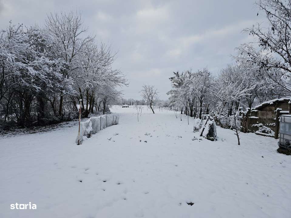 Spatiu comercial cu o suprafata de 150 mp, Suplacu de Tinca, Bihor - Imagine principală: 4/17