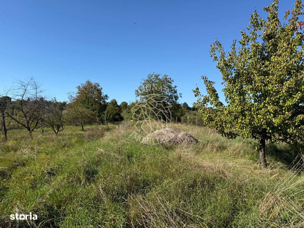 Teren intravilan 965 mp-imprejmuit-ideal casa-Livezile - Imagine principală: 4/7