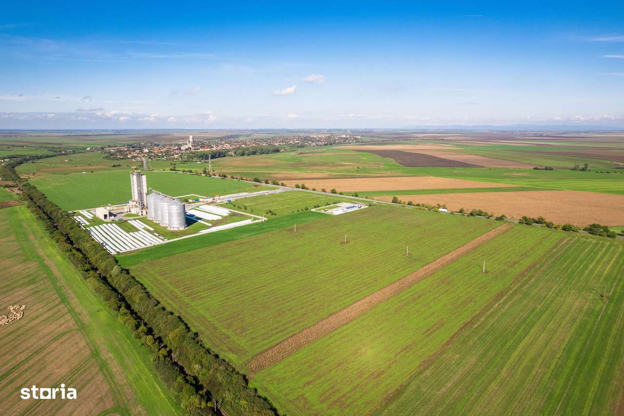 Teren de 104000 mp în Vinga - Imagine principală: 5/8