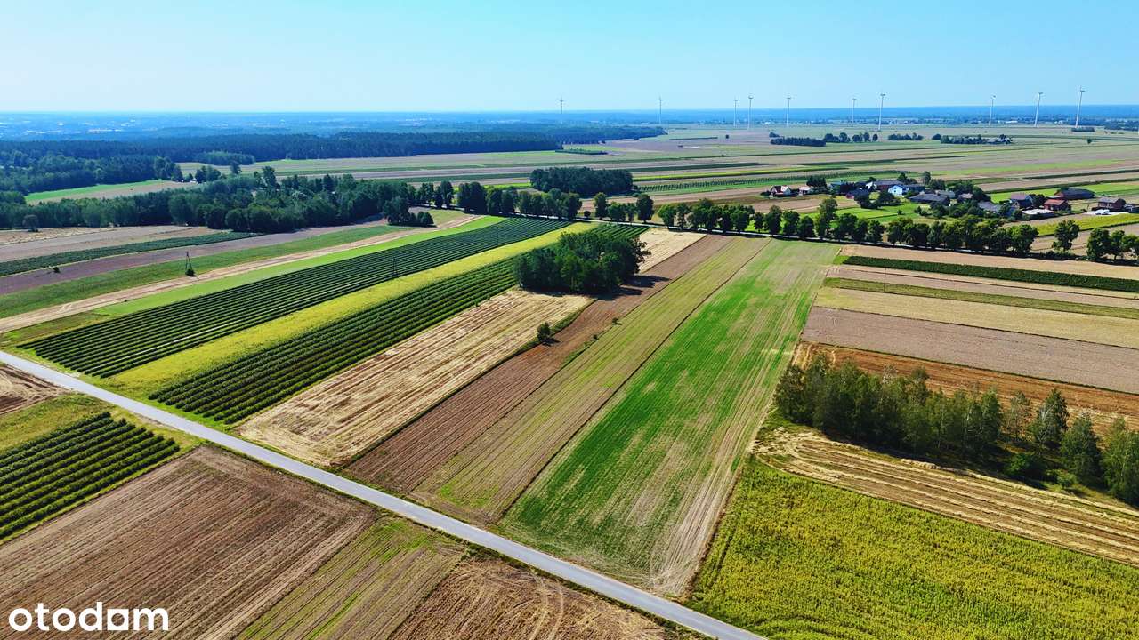 Ostatnia działka w Janolinie | rolna 0,79 ha | MPZP, Asfalt, Wodociąg-7