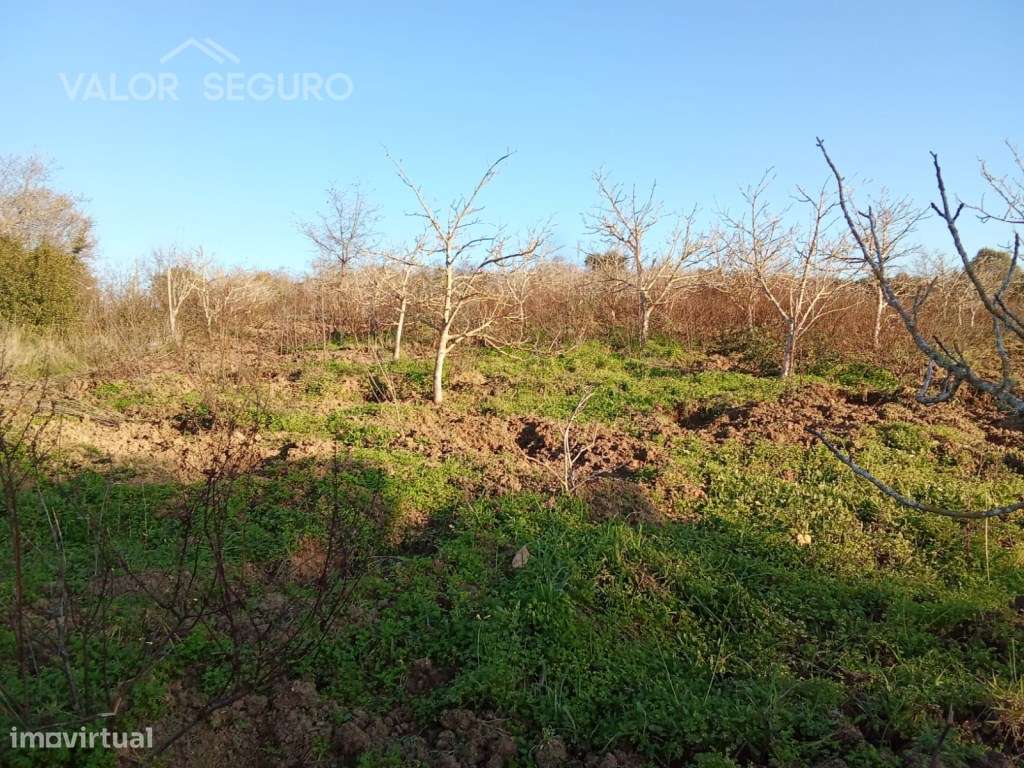 Terreno rústico em Vale Serrão, Pereiro de Palhacana, Alenquer-19
