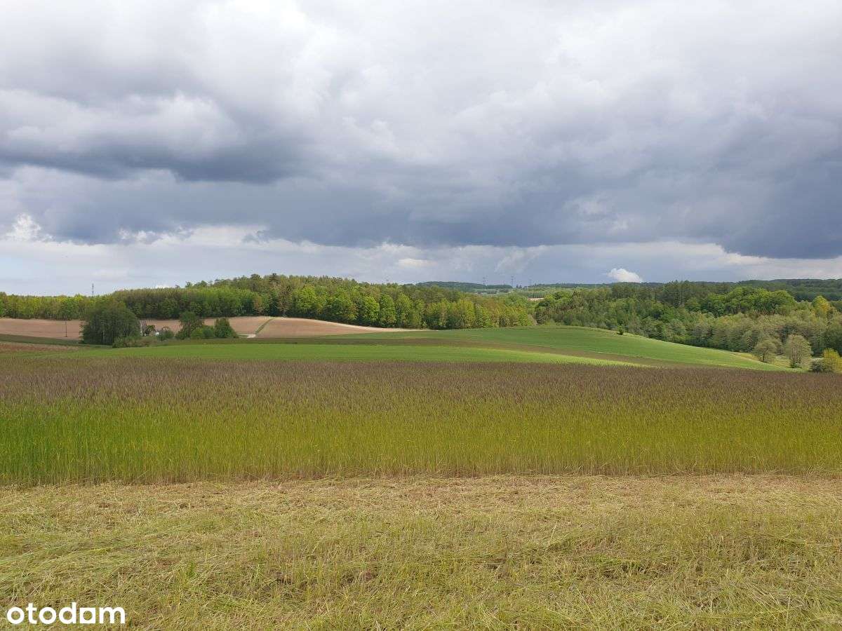 Barłomino Luzino działka budowlana 1100m2 - Pełny obrazek: 5/13