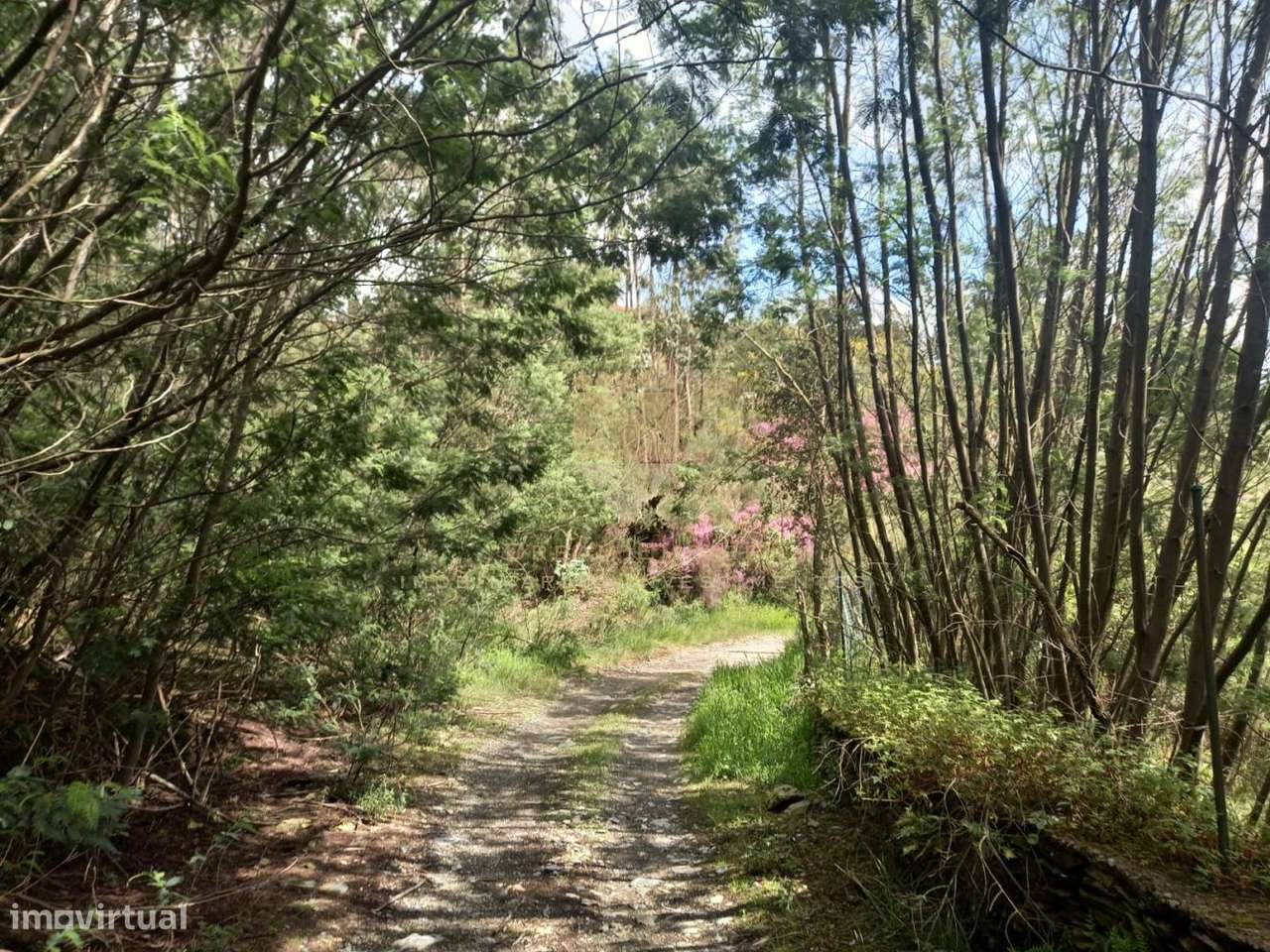 Moradia em Ruínas para Recuperar – Zona Tranquila com Potencial-7