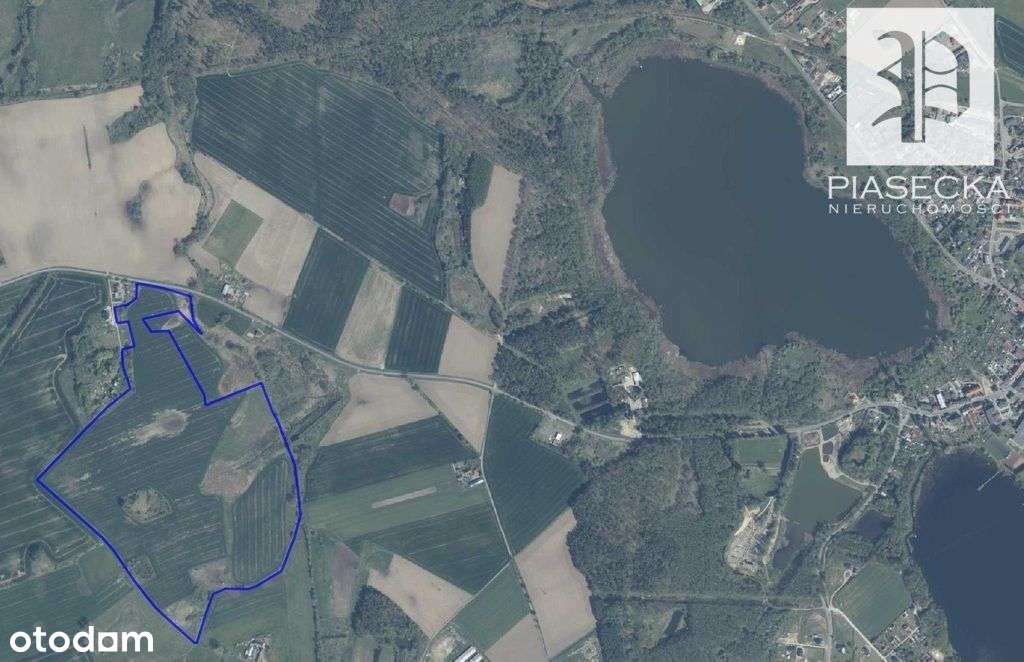 Duża działka rolna w Golczewie - 31.87 ha - Pełny obrazek: 4/8