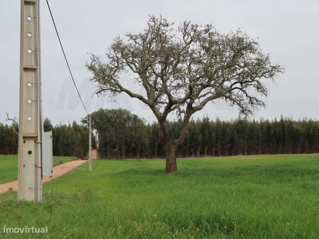 Quinta em excelente localização-36