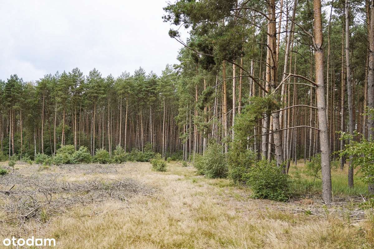 Wyłączność urokliwa działka ok. Z.Góry-7