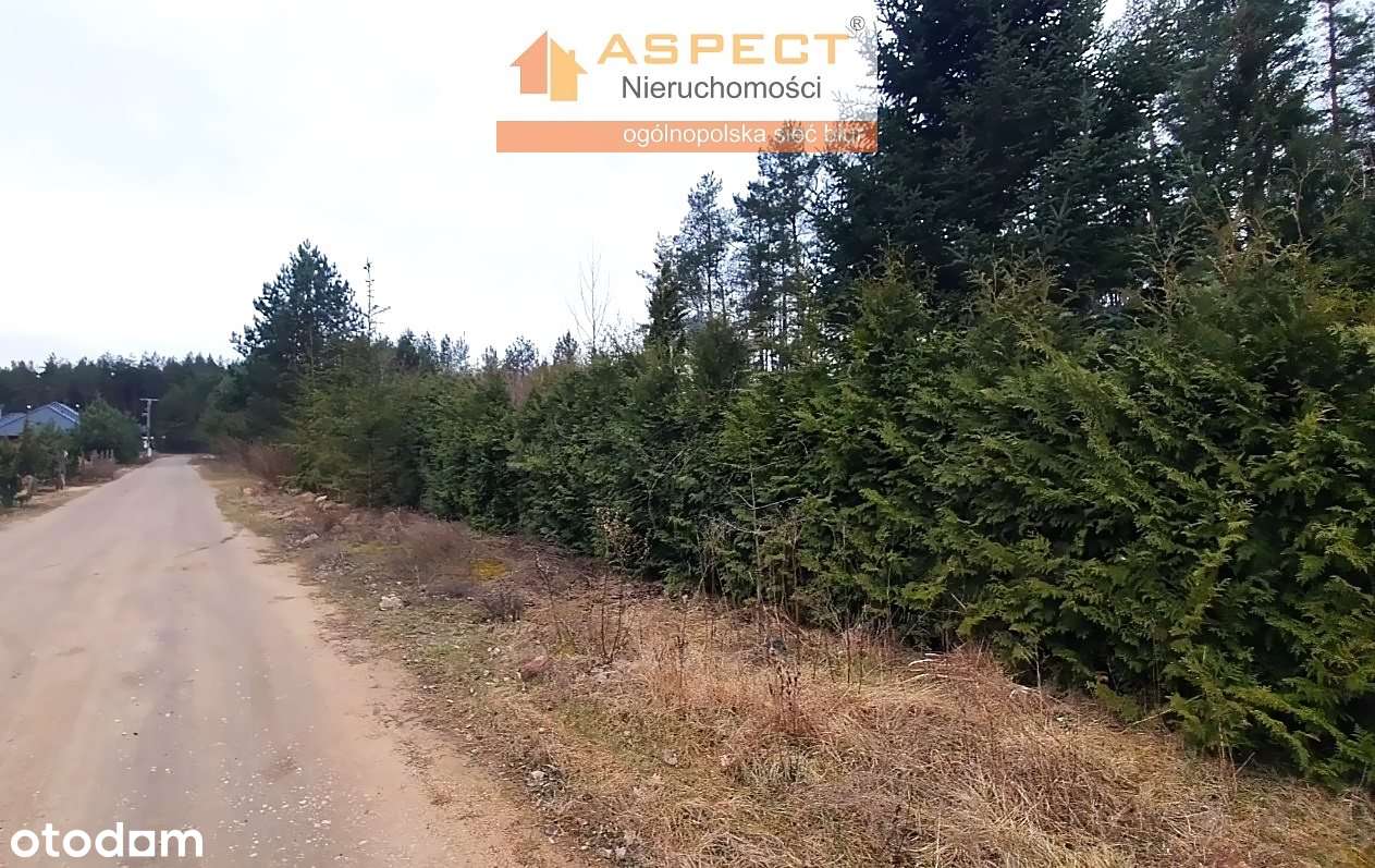 Piękna działka w otulinie lasu! Super lokalizacja - Pełny obrazek: 5/6