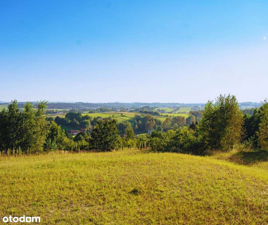 Urokliwa działka 1,71 ha z  domkiem letniskowym | Olszyny – Małopolska - Pełny obrazek: 4/17