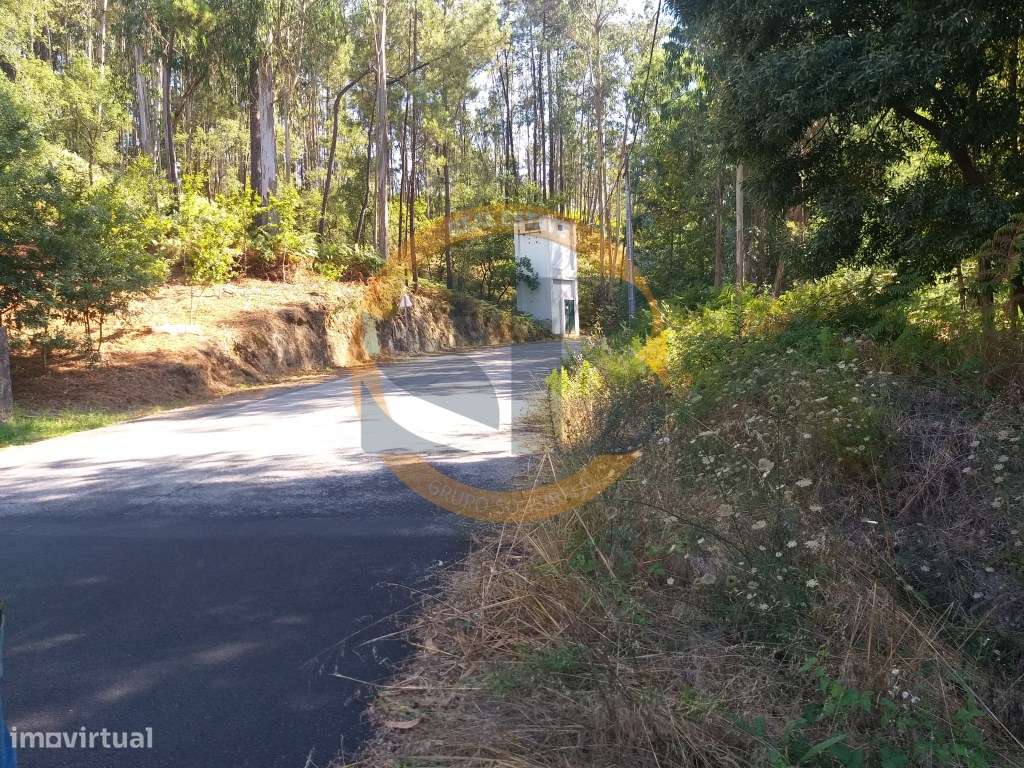 Terreno urbano Oliveira de Azeméis - Grande imagem: 5/5
