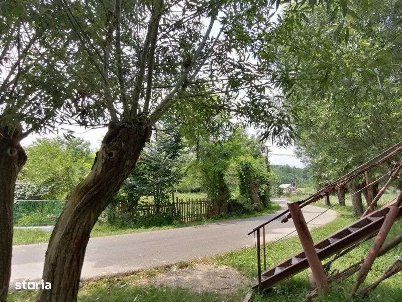 Curte 3025mp , Bughea de Jos, 5 min Valeni PH - Imagine principală: 5/19