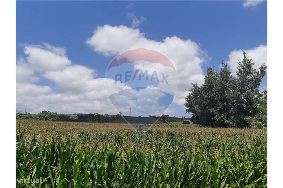 Terreno  para venda - Grande imagem: 4/5