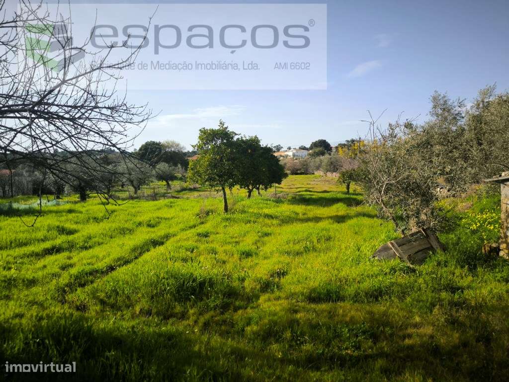 Quinta rural no centro da aldeia - Mata - Grande imagem: 4/10