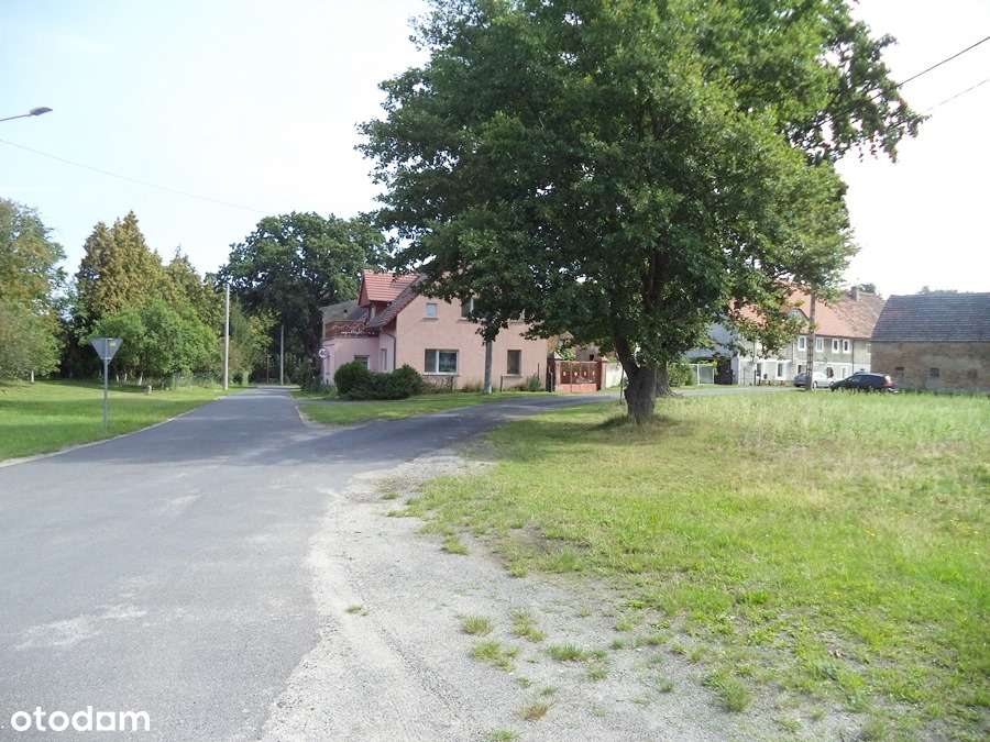 Działka w miejscowości Suchleb gm. Lipinki Łużyckie - Pełny obrazek: 4/5