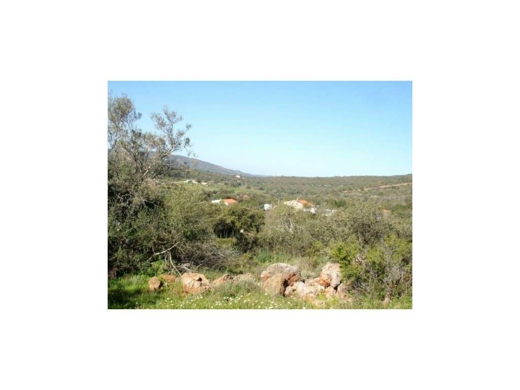 Terreno urbano com projecto de 9 moradias V3, em Funchais da Tôr, a... - Grande imagem: 2/8